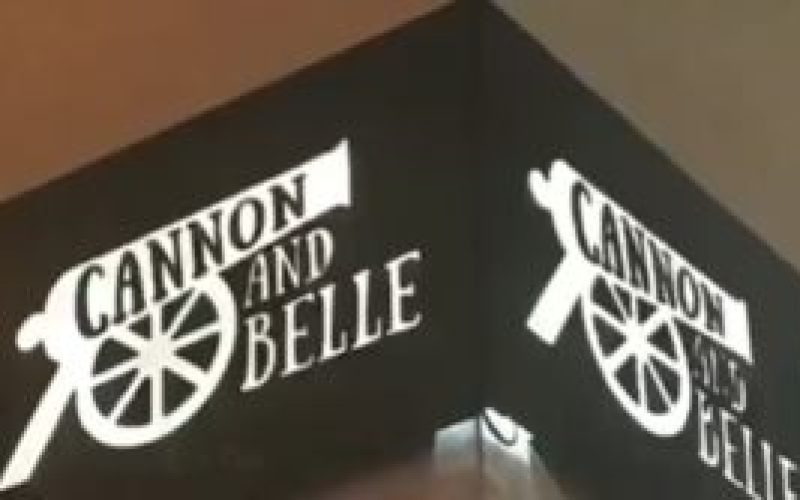 https://shachikaushik.com/wp-content/uploads/2024/10/Cannon-and-Belle-300x167-1-800x500.jpg